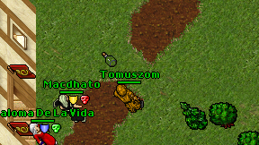 Tomuszom on screen