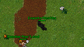 Coyote Menths on screen