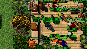 Zeus'knight on screen