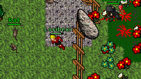 Losibexi on screen