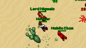 Nofeer on screen