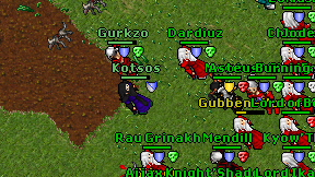 Kotsos on screen