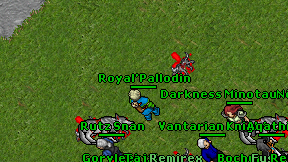 Royal'Pallodin on screen