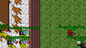Freestalerka on screen