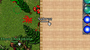 Sakruz on screen