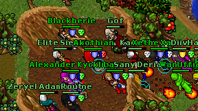 Elite Siegox on screen