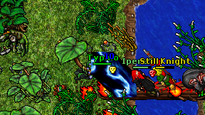 Typhlo on screen