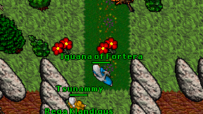 Iguana of Fortera on screen