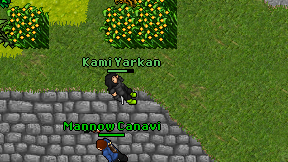 Kami Yarkan on screen