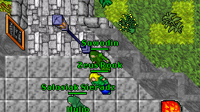 Sowodin on screen
