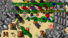 Druid'Samera on screen