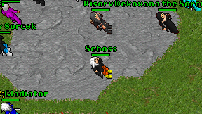 Seboss on screen