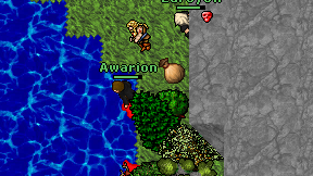 Awarion on screen