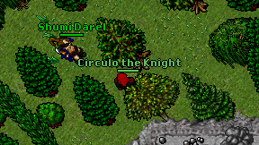Circulo the Knight on screen
