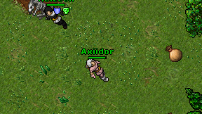 Axiidor on screen