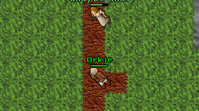 Orkje on screen