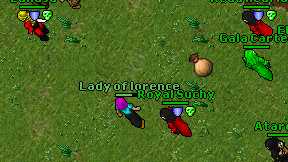 Lady of lorence on screen