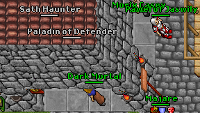 Paladin of Defender on screen