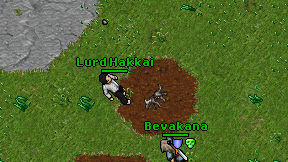 Lurd Hakkai on screen