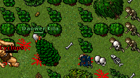 Daower Kila on screen