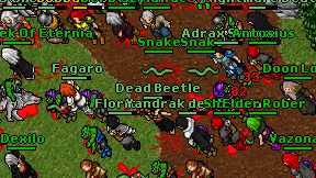 Dead Beetle on screen