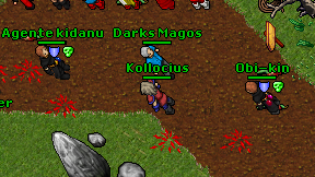 Kollocius on screen