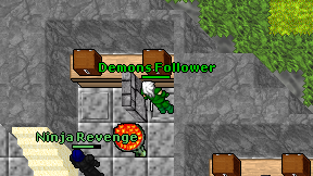 Demons Follower on screen