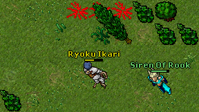 Ryoku Ikari on screen