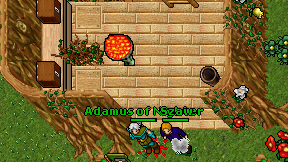 Adamus of Nighter on screen
