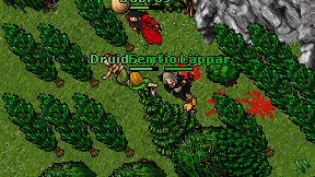Femtio Lappar on screen