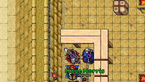Mage Morris on screen
