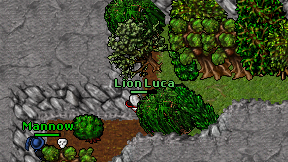 Lion Luca on screen