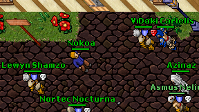 Nokoa on screen