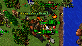 Holkken on screen