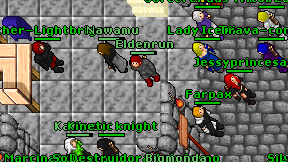 Eldenrun on screen