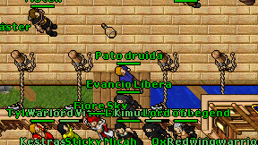 Pato druida on screen