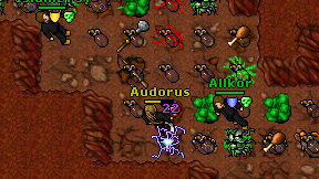 Audorus on screen