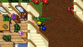 Pofagola on screen