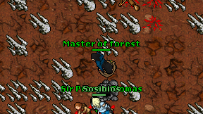 Master of forest on screen