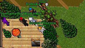 Druid Phoenix on screen