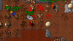 Exeli on screen