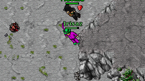 Irisaz on screen