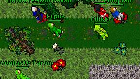 Lupus on screen