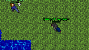 Dwarf neisor on screen
