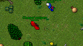 Chapo'sniper on screen