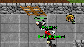 Sedibo on screen