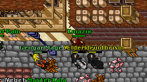Kniazix on screen