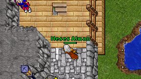 Heses Alman on screen
