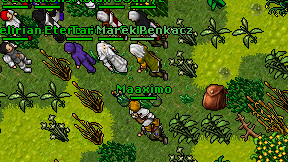 Maaximo on screen