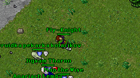 Fly-Knight on screen